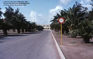 Mas- 160- La Senia